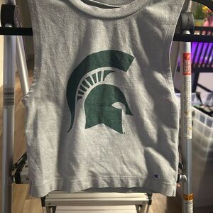 cropped michigan state tank